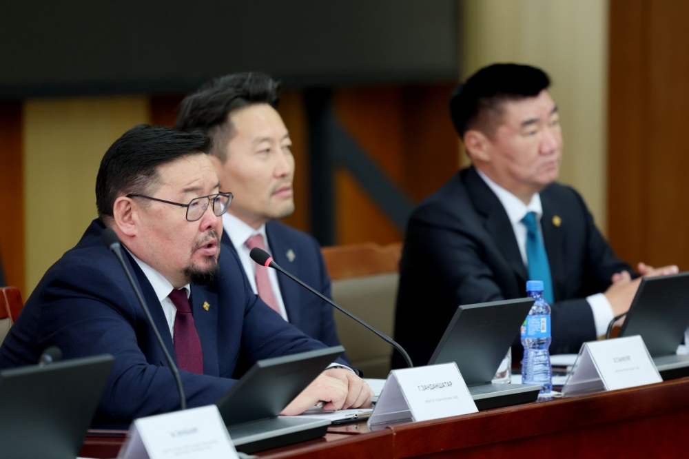 Эдийн засгийн хөгжлийн зөвлөлийнхөн Үндэсний баялгийн сангийн менежментийг сайжруулах талаар санал солилцлоо