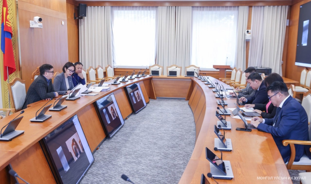 Ажлын хэсэг Түгээмэл тархацтай ашигт малтмалын тухай хуульд нэмэлт, өөрчлөлт оруулах тухай хуулийн төслийн хүрээнд холбогдох яамны мэдээллийг сонслоо