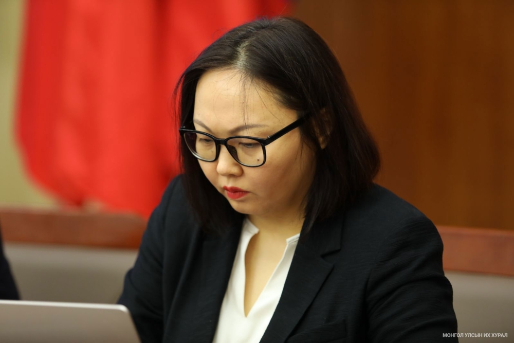 Эрүүгийн хэрэг хянан шийдвэрлэх тухай хуульд нэмэлт, өөрчлөлт оруулах тухай хуулийн төслийн талаар хэлэлцүүлэг өрнүүлэв