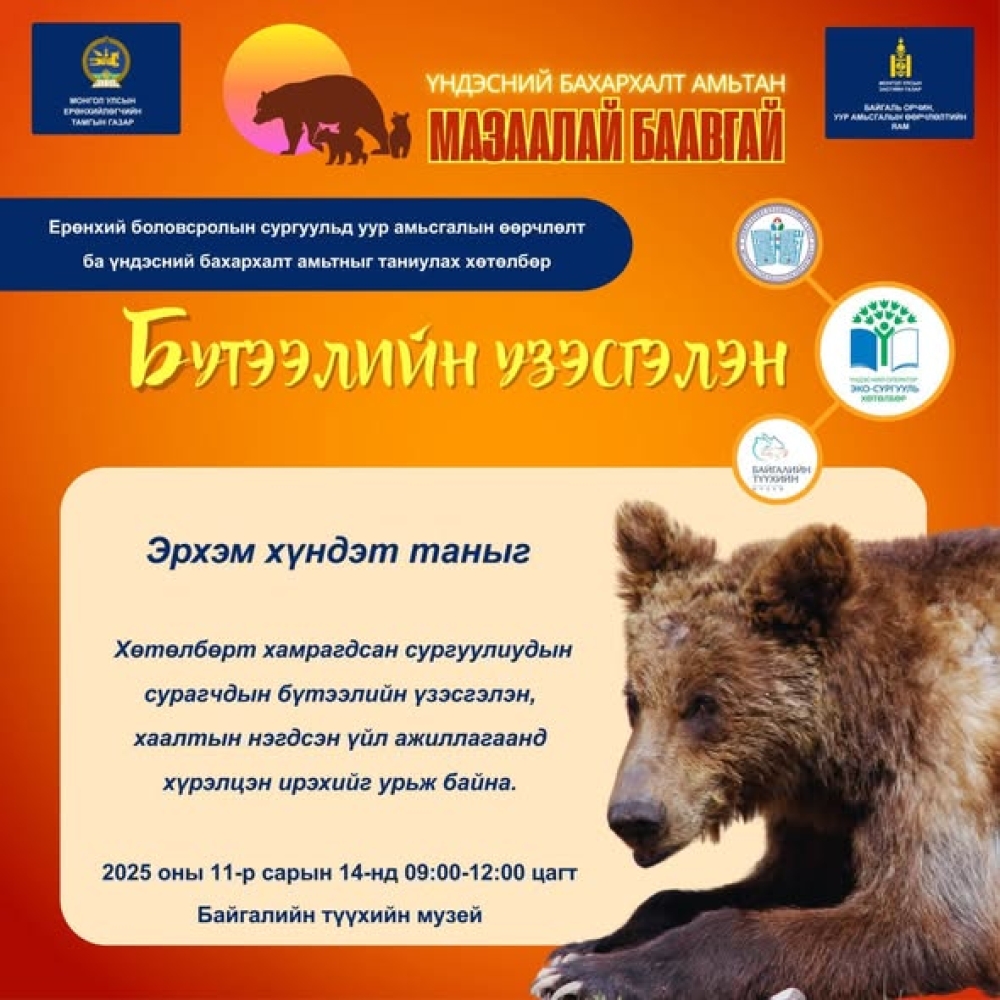 МОНГОЛ БАХАРХАЛ  ✨СОЁЛЫН БҮТЭЭЛЧ САР АЯН 2 ДУГААР ДОЛОО ХОНОГ