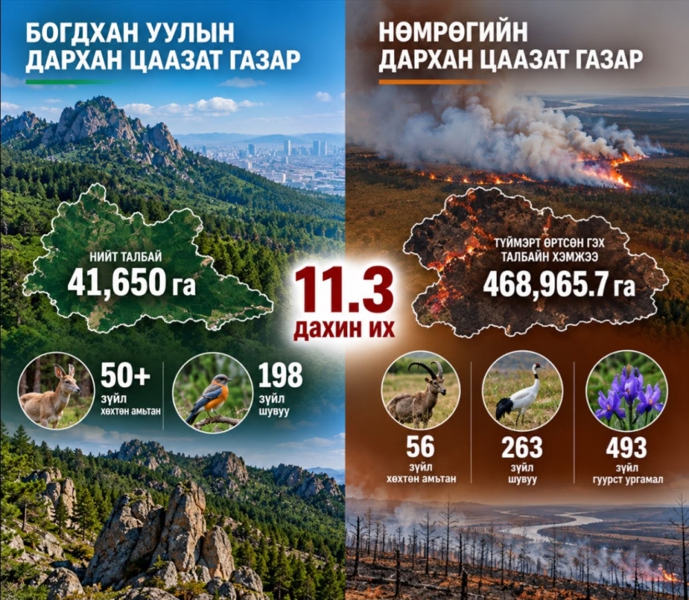 БОГДХАН УУЛ & НӨМРӨГ