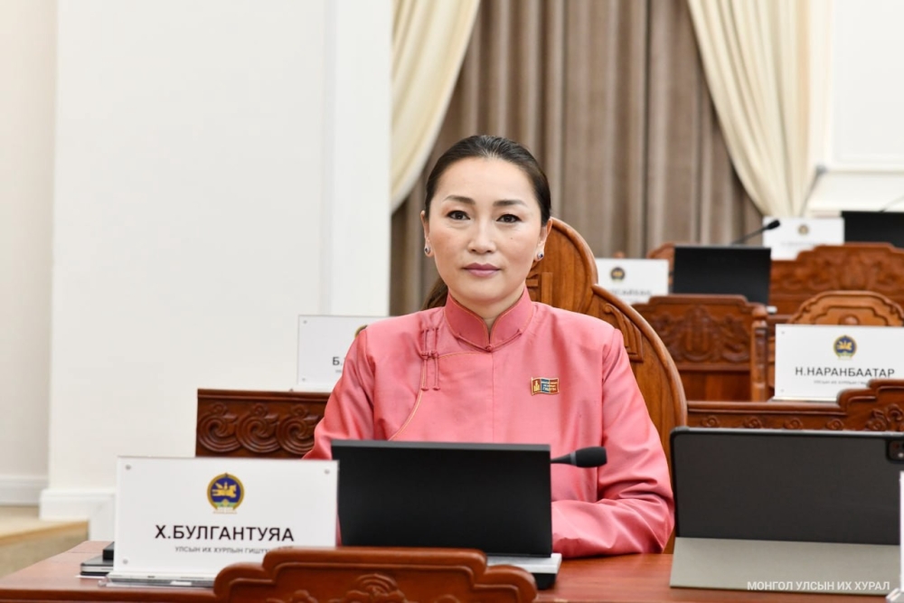 УИХ-ын гишүүн Х.Булгантуяагийн ажлын тайлан