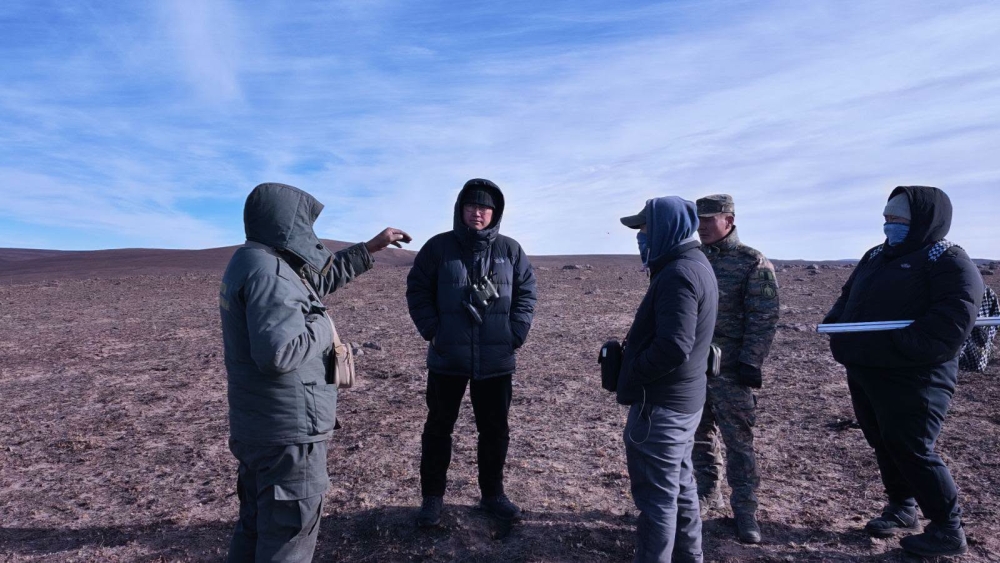 НӨМРӨГИЙН СОЁЛЗ, ГАЛСТАЙ, ЦЭЦЭГТ, ЗАРАА УУЛ ОРЧИМД СУДАЛГАА ХИЙЖ, ДЭЭЖ ЦУГЛУУЛЛАА