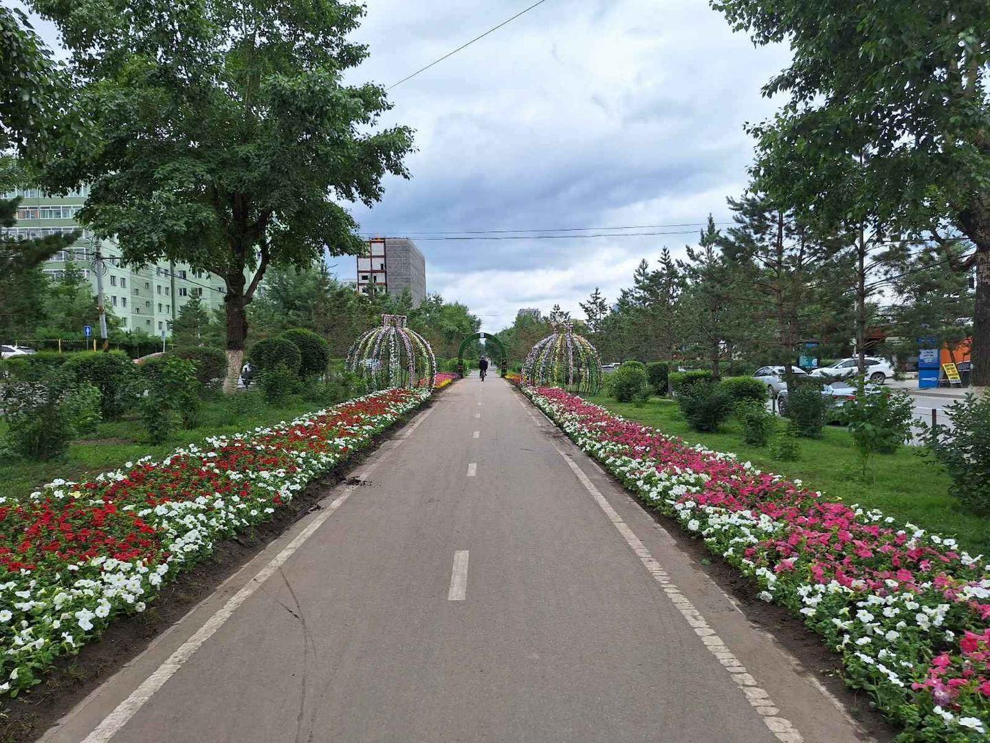 Иргэд цэцгүүдийг гишгэх таслах, гэрийн тэжээвэр амьтдаар сүйтгүүлэх үйлдлүүд гаргаж байна