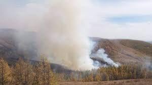 Завхан аймгийн Баянтэс суманд ойн гал түймэр гарч, 4 га талбай өртжээ