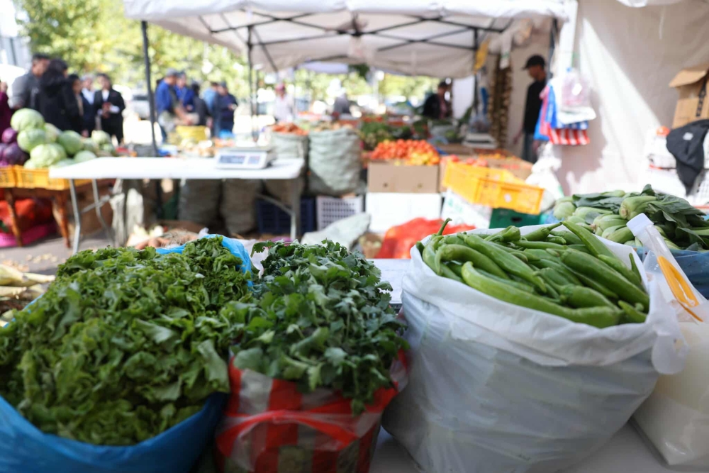 “Намрын ногоон өдрүүд-2025” өргөтгөсөн худалдаа Төв цэнгэлдэх хүрээлэнд энэ сарын 28-ны өдөр хүртэл үргэлжилнэ